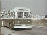 http://i29.photobucket.com/albums/c268/VuleGSBeograd/Cep koji ne propusta vodu/Lejland/th_Leyland1.jpg